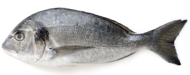 Дорада охлажденная 600/800, ~700г