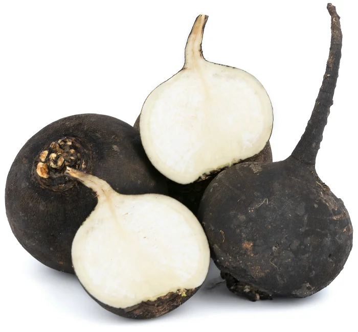 Редька черная