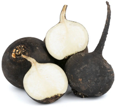 Редька черная