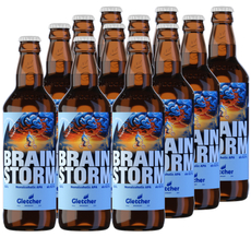 Пиво Gletcher Brainstorm APA безалкогольное, 0.5л х 12 шт