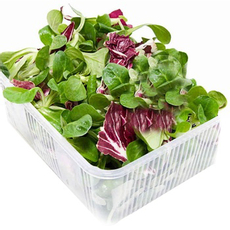 Салат микс Корн+Радичио, 125г