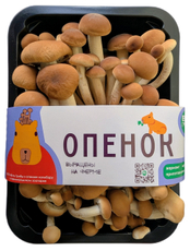 Грибы Есть Грибы опята, 200г