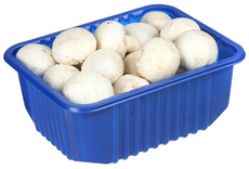 Грибы Шампиньоны, 400г