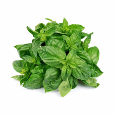 Базилик зеленый, 50г