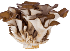 Грибы майтаке, 150г