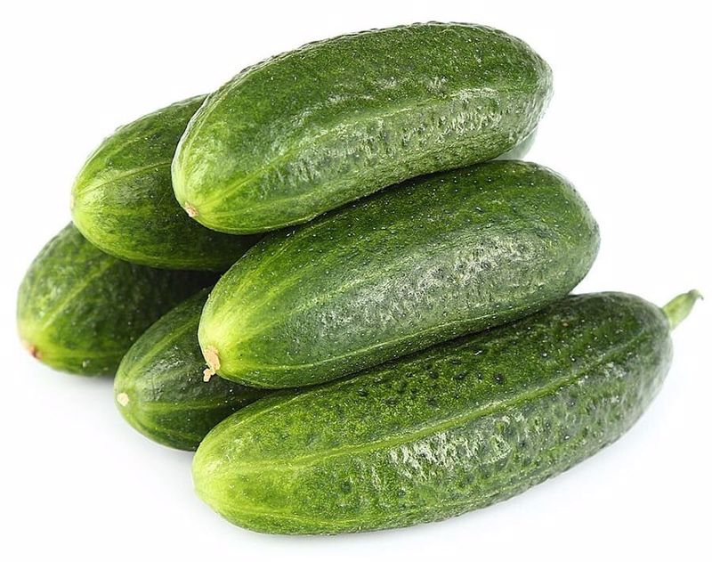 Огурцы Луховицкие хрустящие, 450г