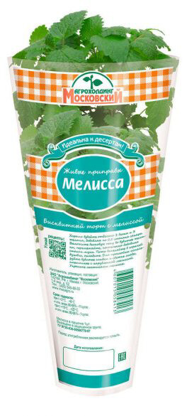 Мелисса в горшочке