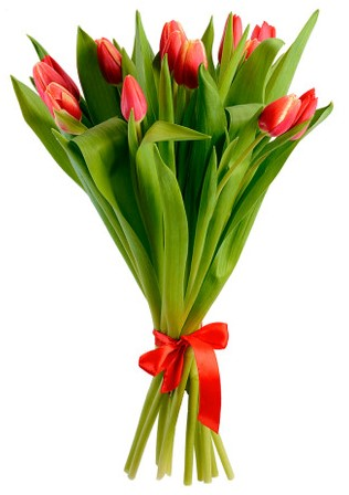 Букет тюльпанов Выборжец 5шт