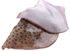 Крылья ската охлажденные