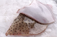 Крылья ската охлажденные