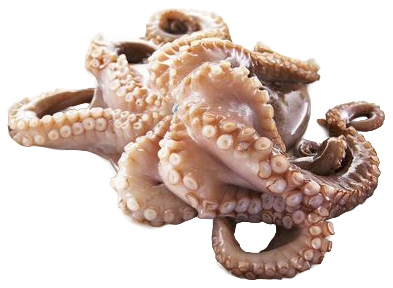 Осьминог охлажденный, ~1-2кг