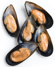 Мидии Черноморские