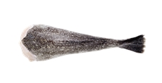 Хвост рыбы Морской черт, ~500г