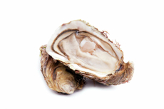 Устрицы Фин Де Клер №1, 125г