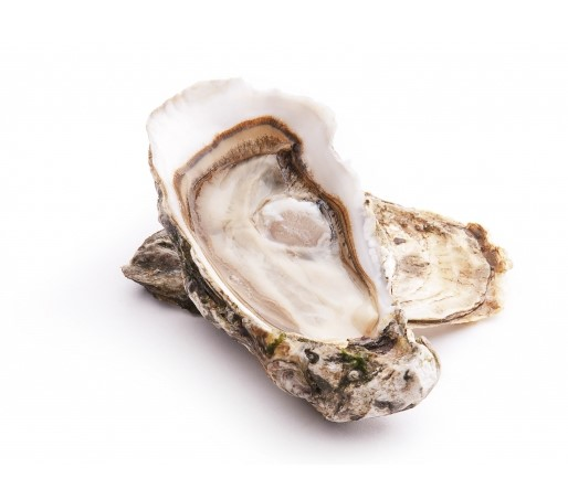 Изображение товара Устрицы Белый жемчуг №1 125г свежие морские деликатесы