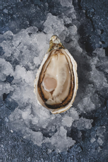 Устрица Дибба Бей 125г