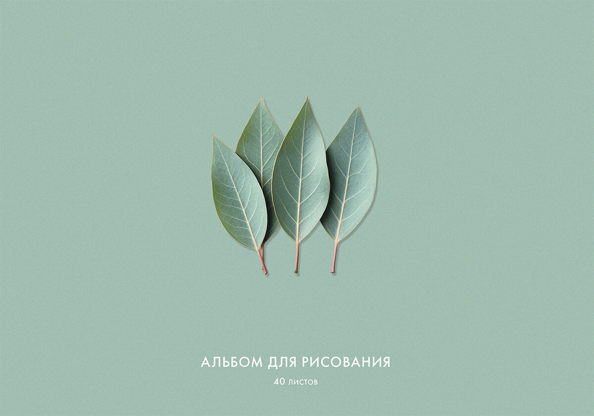 Альбом для рисования Listoff Шалфей А4, 40л