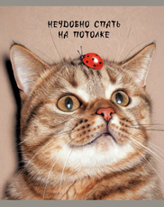 Тетрадь Listoff Ох уж эти котики клетка А5, 48 листов