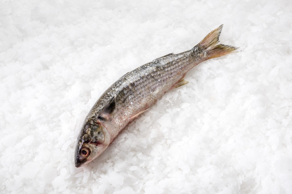 Изображение товара Кефаль черноморская потрошеная с головой 1 шт. Россия морская