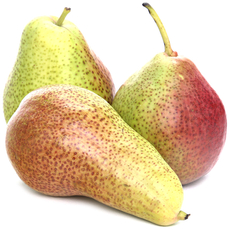 Груша Форел