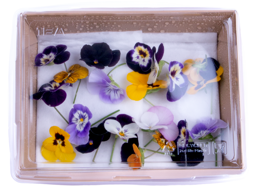 Цветы виола, 10г