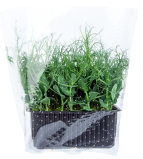 Микрозелень горох, 35г