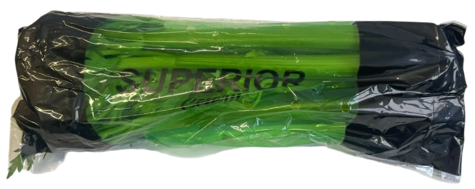 СЕЛЬДЕРЕЙ 1 ШТ