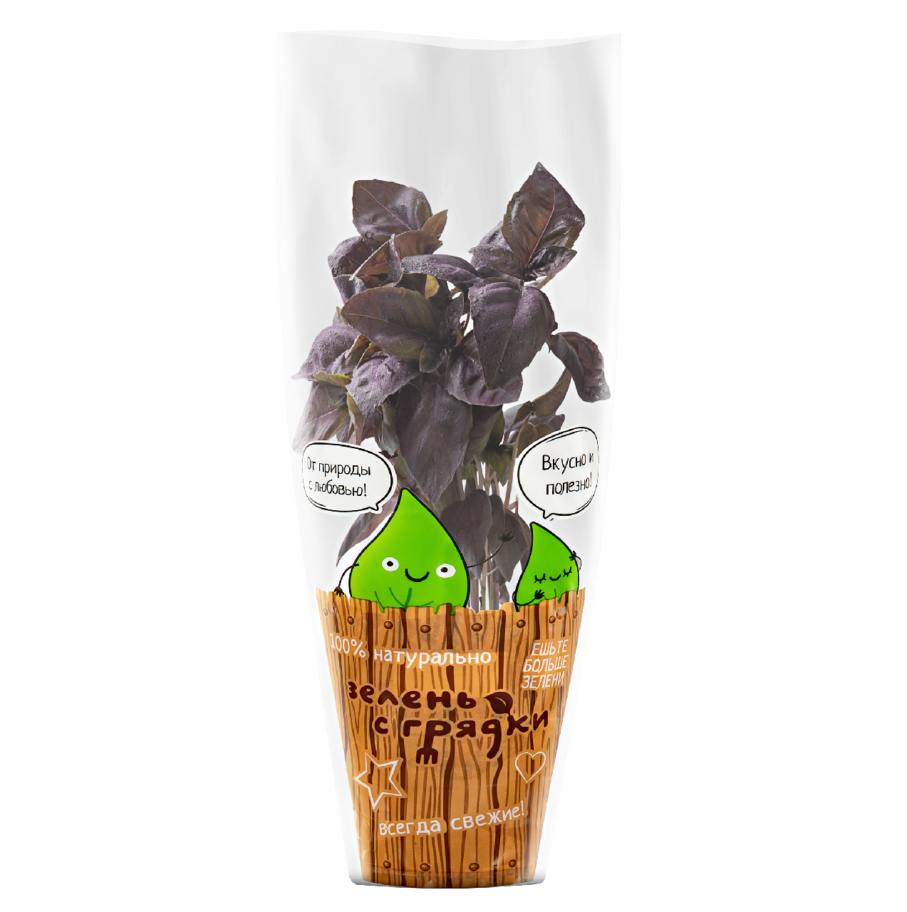 Базилик фиолетовый в горшочке, 25г