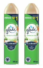 Освежитель воздуха Glade аэрозольный 5 в 1 Свежесть утра, 300мл х 2 шт