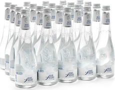 Вода Baikal Reserve минеральная природная лечебно-столовая газированная, 530мл x 20 шт