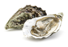 Устрица Специаль №3