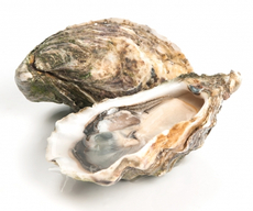 Устрицы Касабланка №2, 100г