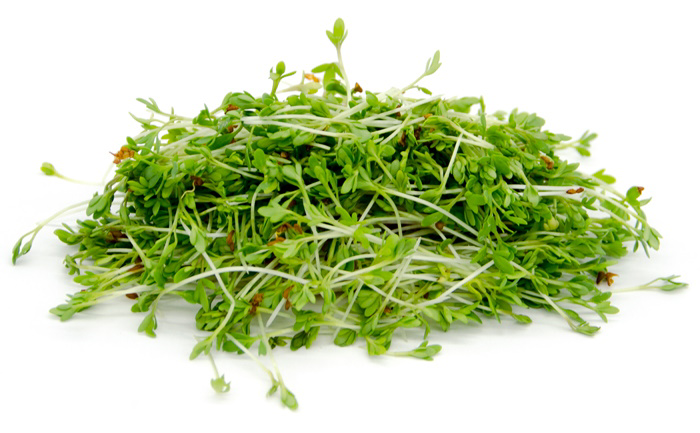 Проростки Кресс-салата, 75г