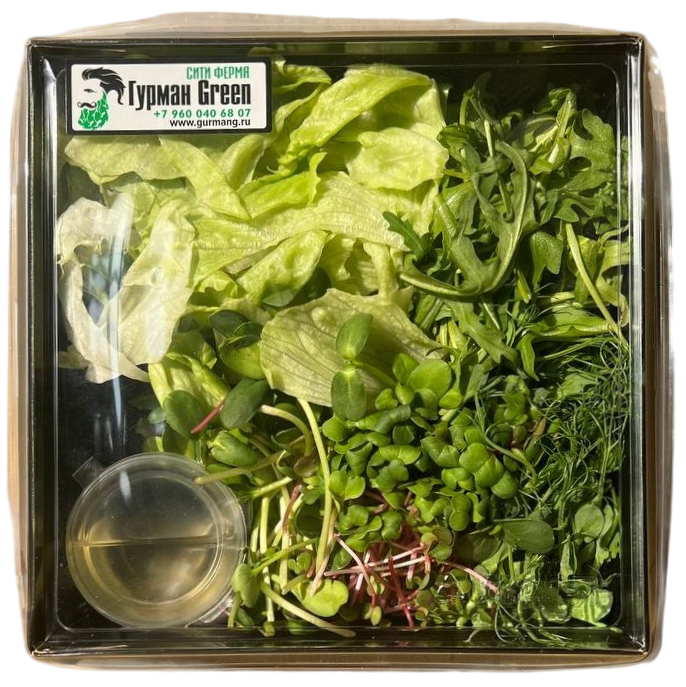 Микс айсберг Гурман Green 185г