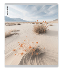 ТЕТРАДЬ PASIFICO А5 48Л КЛЕТКА ERICHKRAUSE