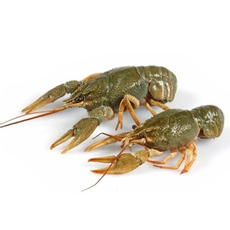 Раки живые 70/90