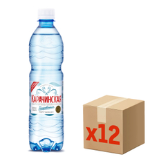 Вода Карачинская минеральная газированная, 500мл x 12 шт