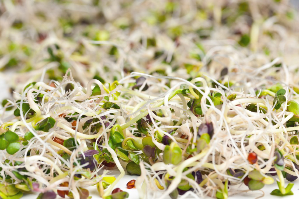 Проростки Микс для женщин, 70г