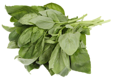 Базилик зеленый, 50г