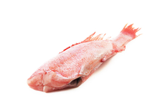 Окунь красный морской потрошеный без головы, ~200-300г