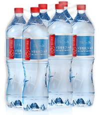 Вода минеральная Увинская Жемчужина природная столовая питьевая негазированная, 1.5л x 6 шт