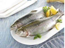 Форель Карельская охлажденная, ~2-3кг