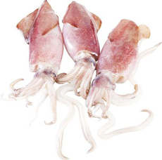 Мини-кальмары охлажденные