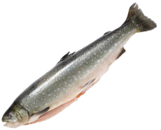 Голец охлажденный, ~300-500г