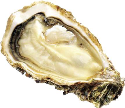 Изображение товара Устрицы Белый жемчуг №5, 85 г