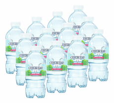 Вода Сенежская питьевая негазированная, 330мл x 12 шт