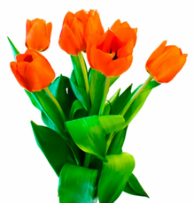 Букет тюльпаны от 35см, 7шт цвета в ассортименте