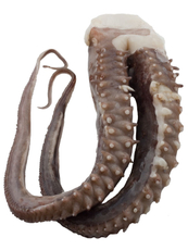 Кальмар щупальца 500/1000, ~1.6кг