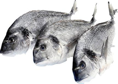 Дорада 200/300, ~200-300г