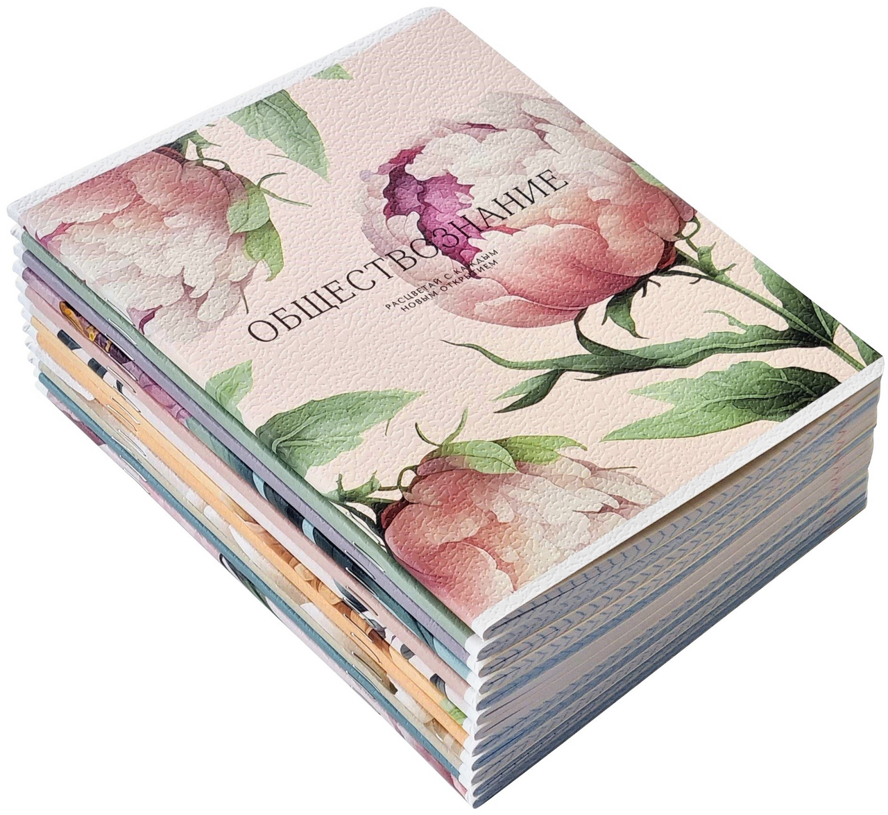 Изображение товара ТЕТРАДЬ ПРЕДМЕТНАЯ Н-Р 12 PEONY 48Л BE SMART